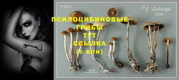 прущий лед Богданович